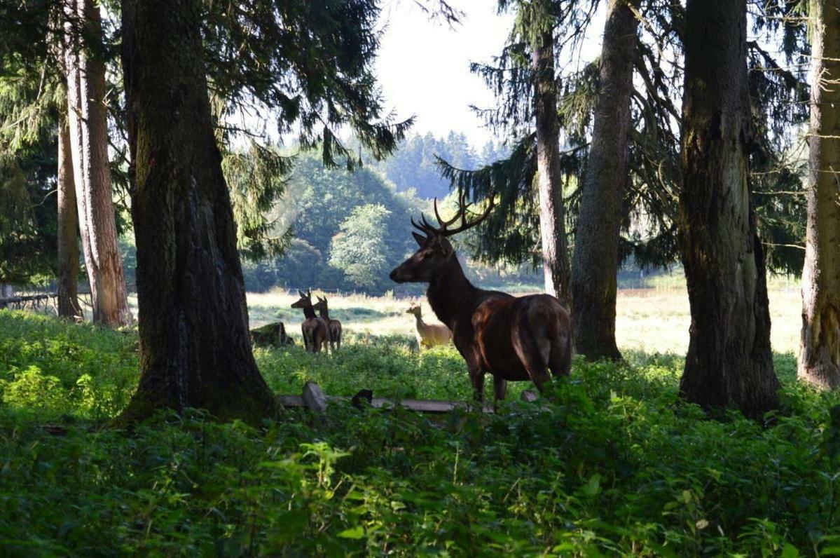 Alte Post Uhlingen Hotel Zewnętrze zdjęcie